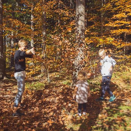 Drewniana Roza Domki Karkonosze Piechowice  Exterior foto